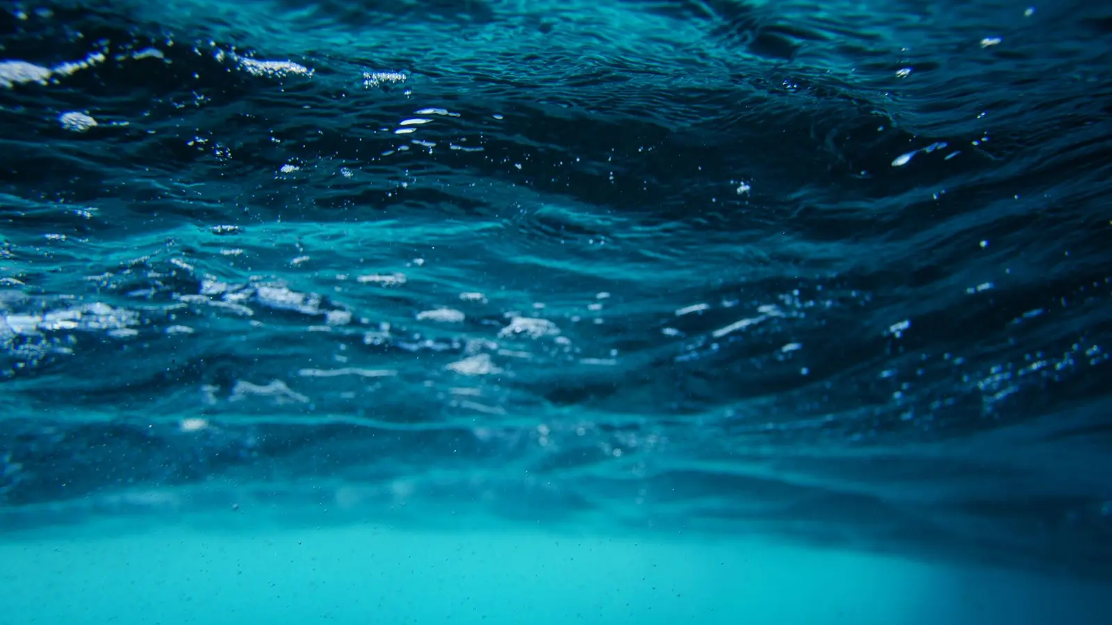 Deep blue water seen from just below the surface of the sea